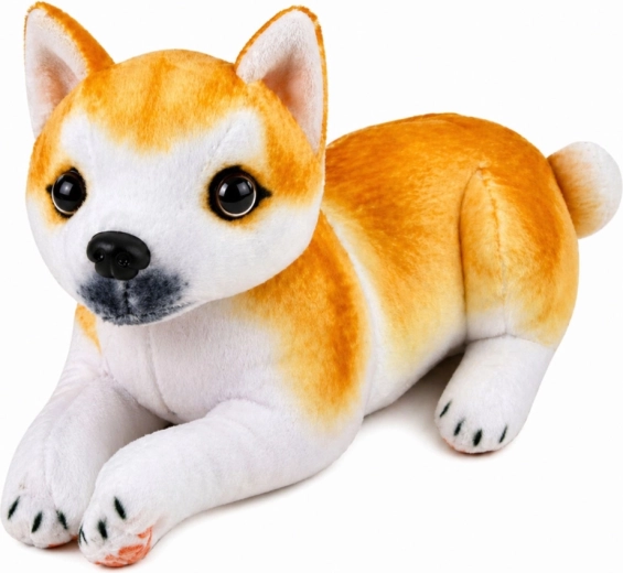 Realistický vzhled Shiba Inu