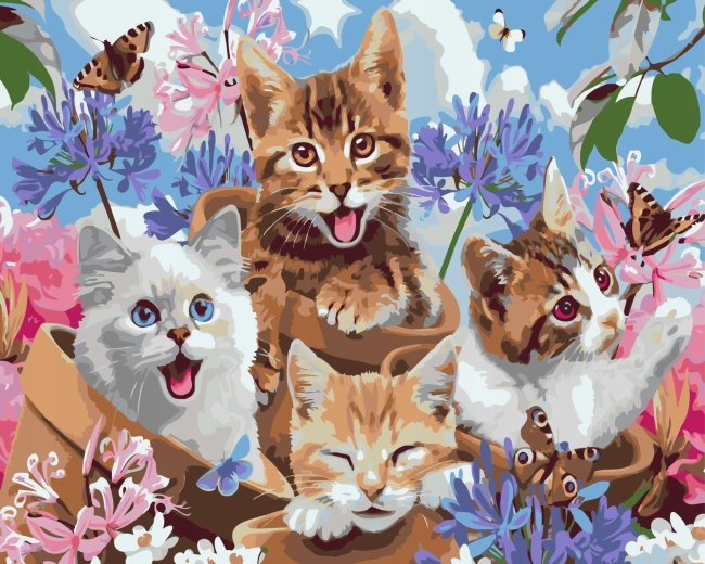 Norimpex Malování podle čísel šťastná koťata v květináčích 40 × 50 cm