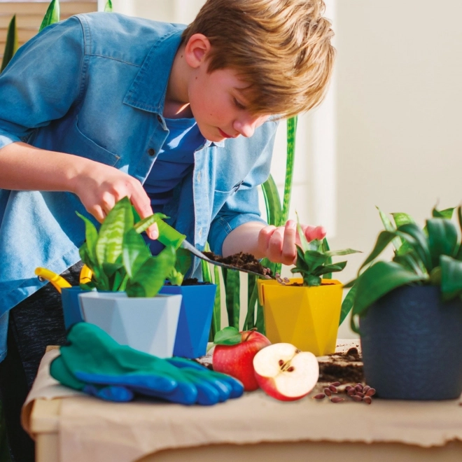 Zábavné pěstování doma