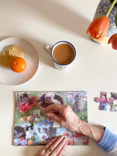 Relax u roztomilých koček