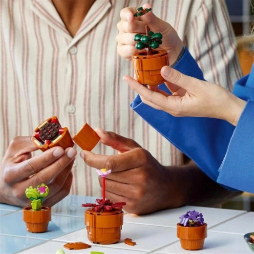 Společné stavění a digitální návod