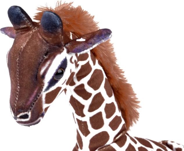 Bezpečné detaily a kvalitní zpracování