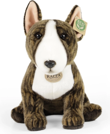 Kvalita značky RAPPA