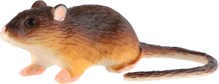 Věrohodné zpracování