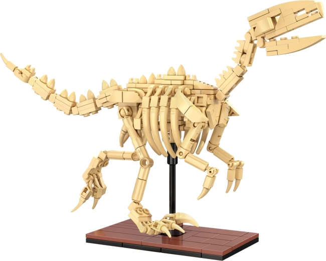 Svítící kostry a výstavní zpracování