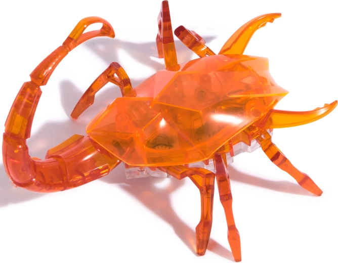 Průhledný design a odolná konstrukce