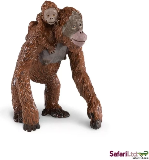 Orangutan s mládětem