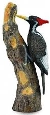 Collecta datel knížecí – realistická figurka
