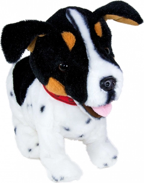 Podporuje rozvoj dětí