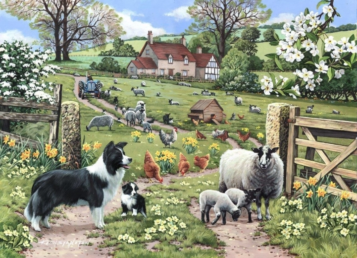 Puzzle Včasné Učení 1000 Dílů