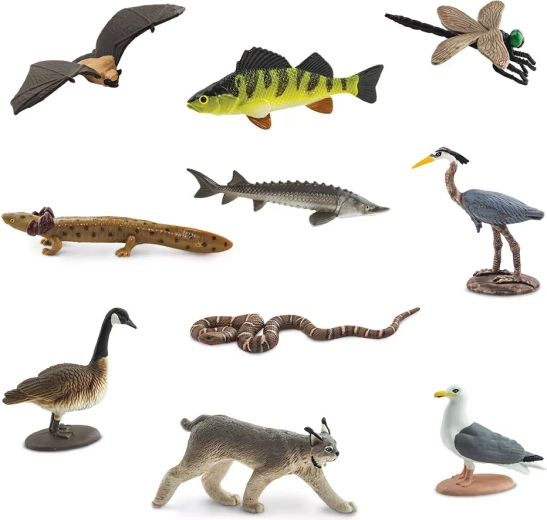 10 miniatur zvířat z oblasti Velkých jezer