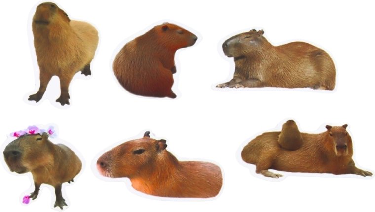 Větší formát 6–7 cm pro efektní zdobení