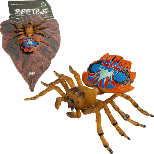 Živá příroda: realistický model pavouka pavího (peacock spider) 10 cm