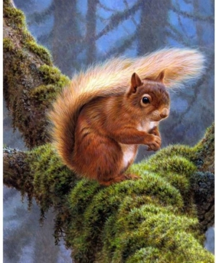 Diamantové vyšívání (diamond painting) veverka 30 × 40 cm - 1 kus