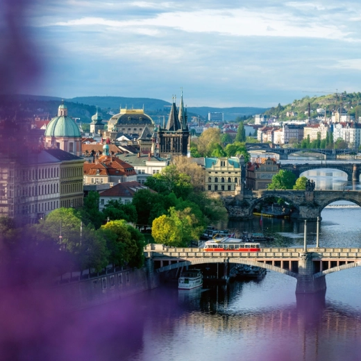 Kompaktní formát na každou stěnu