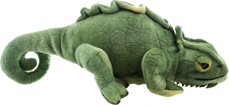 Realistický vzhled chameleona