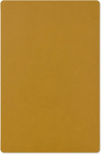Plastová podložka na stůl Verde hořčice 58 × 38 cm