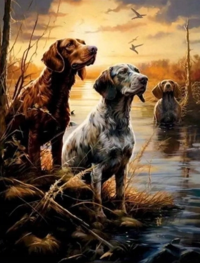 Malování podle čísel Psi v mokřadech 40 × 50 cm NORIMPEX