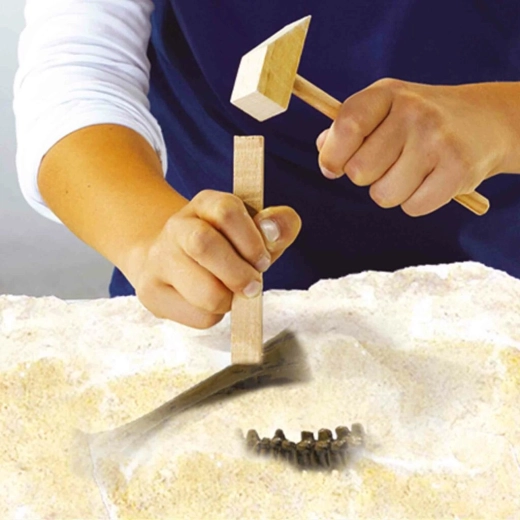 Vykopávky jako opravdový paleontolog
