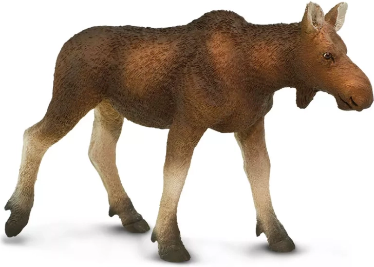 Safari Ltd. figurka samice losa evropského - 1 kus