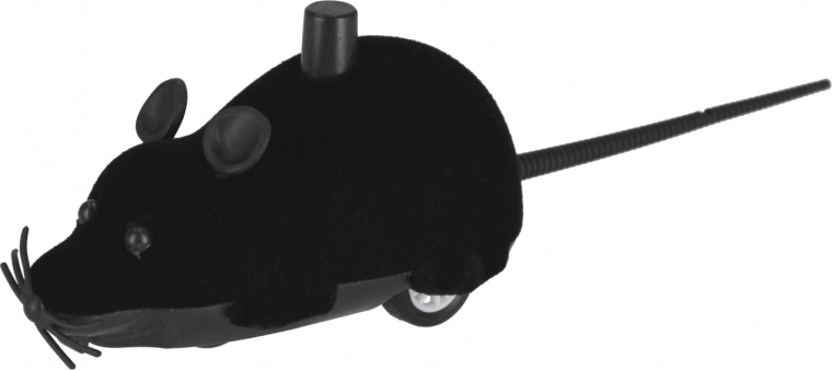 Zábava v různých barvách