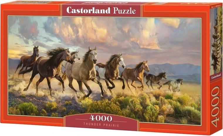 Castorland puzzle Hřmící prérie 4000 dílků