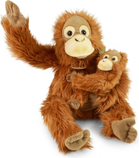 Dvě hračky v jednom