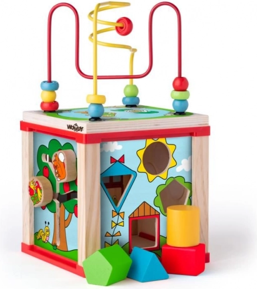 Třídění tvarů a první logické úkoly