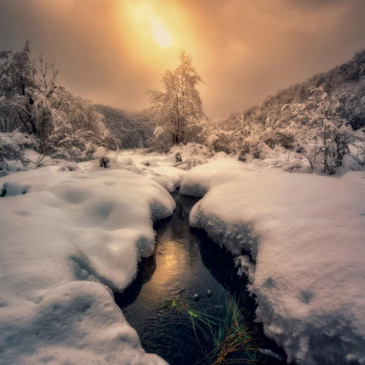 12 inspirativních fotografií přírody