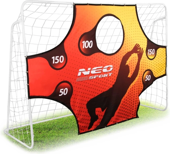 Neo-Sport fotbalová branka 245 × 155 × 80 cm s tréninkovou plachtou