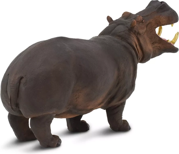 Učení hrou se Safari Ltd.