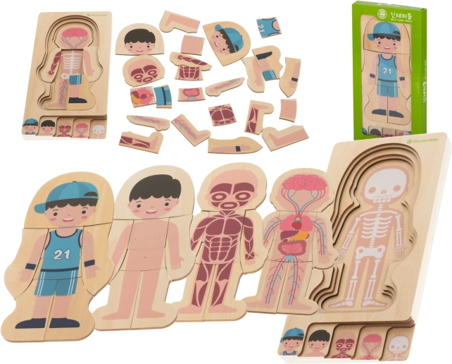 Dřevěná vrstvená puzzle lidské tělo Montessori
