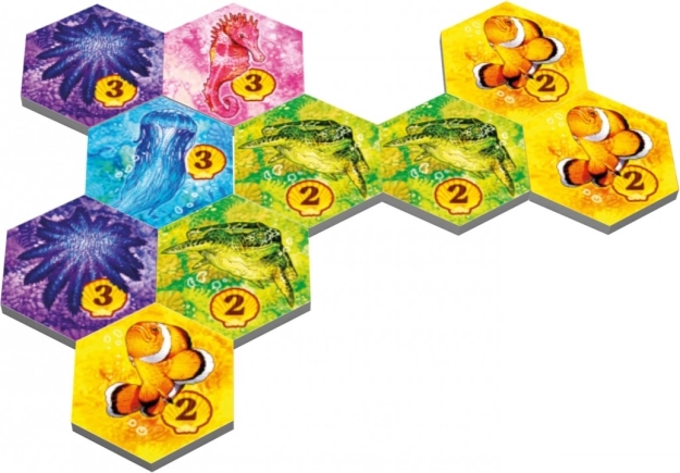 Krásné ilustrace mořské fauny