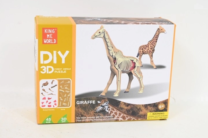 Anatomický model žirafy