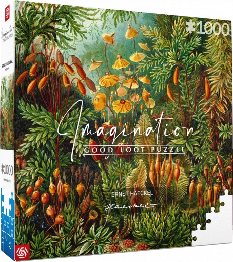 Puzzle Imagination: Ernst Haeckel – Muscinae 1000 dílků