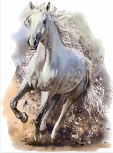 Norimpex diamantové malování cválající bílý kůň 30 × 40 cm