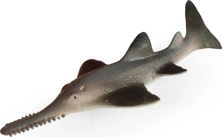 Mořská ryba piloun mnohozubý 14 cm