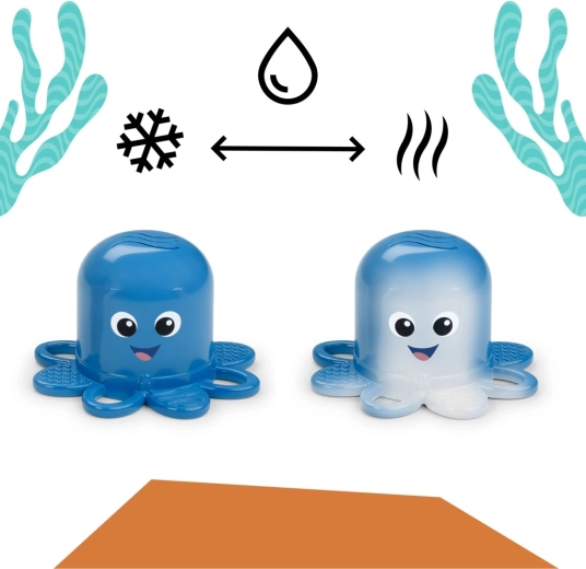 Chobotnička Opus mění barvu