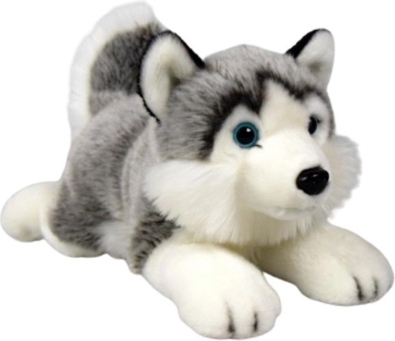 Plyšový pes husky Dubi 27 cm