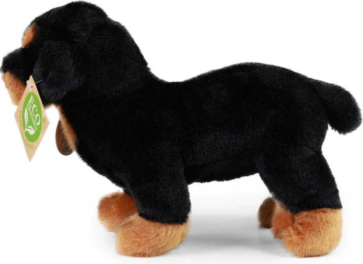 Součást RAPPA Exclusive Collection