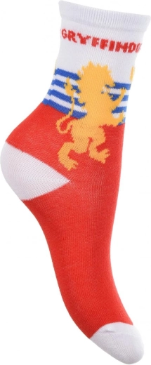Motiv Gryffindor s výrazným nápisem a erbem