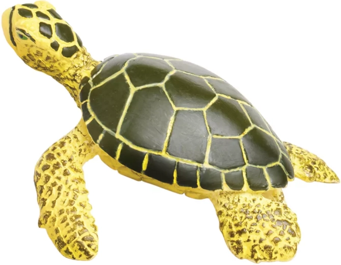 Ideální pro učení o přírodě a oceánu