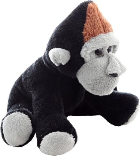 Roztomilé detaily a přívětivý výraz