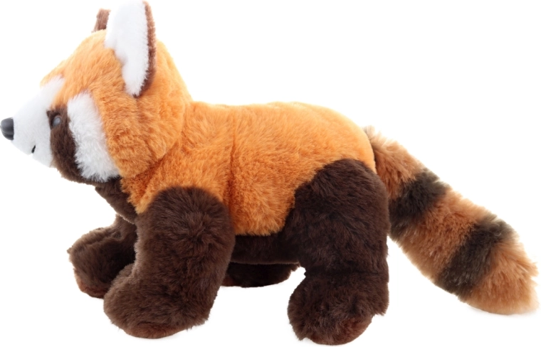 Realistické detaily červené pandy