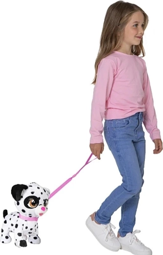 Venčení a krmení se smyčkou a kostí