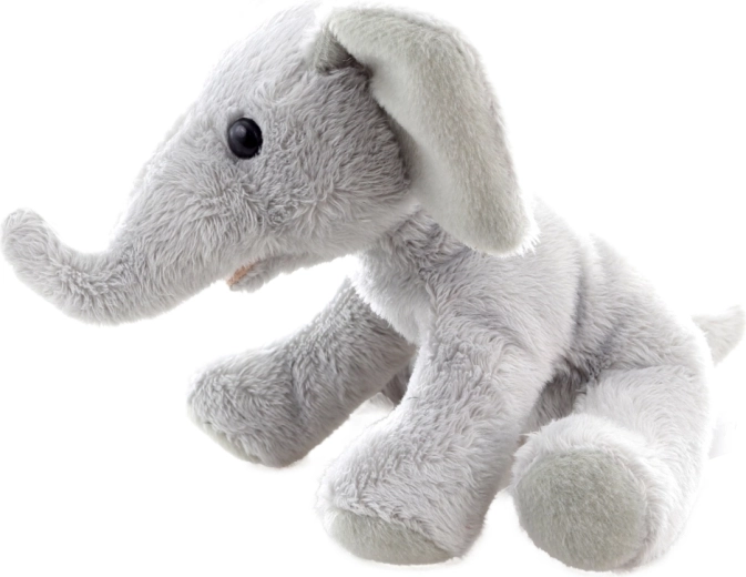 Kompaktní velikost 15 cm