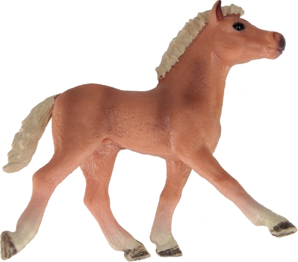 Tři atraktivní varianty