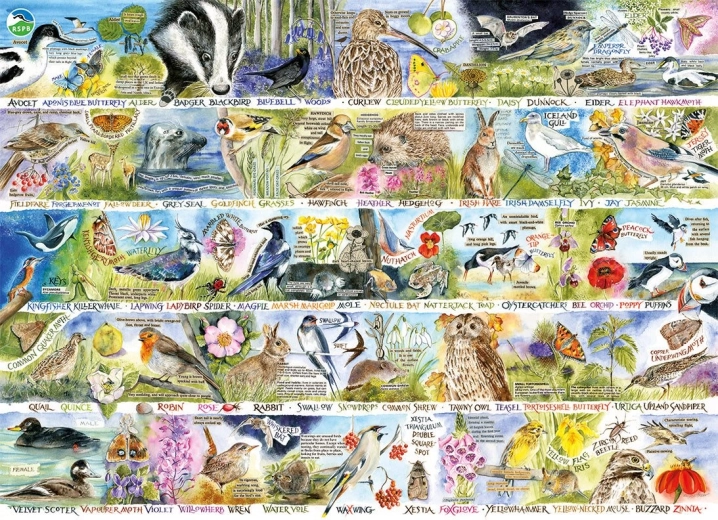 Puzzle GIBSONS RSPB kouzlo jarní přírody 1000 dílků