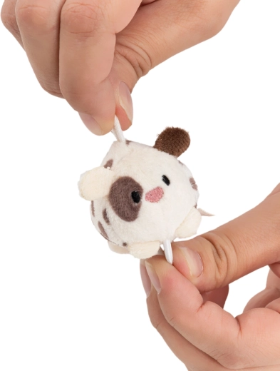 Mini rozměr, maxi roztomilost