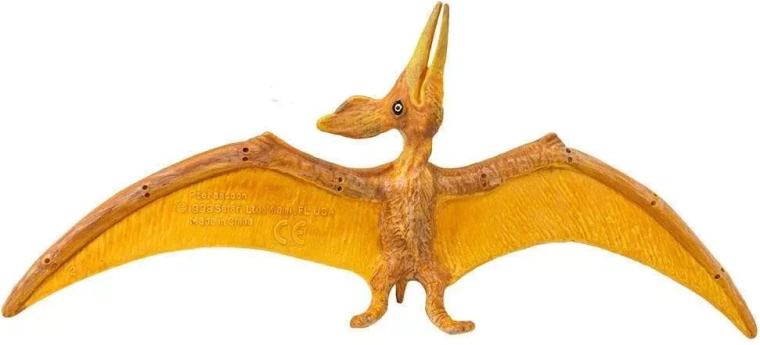 Realistické zpracování pteranodona
